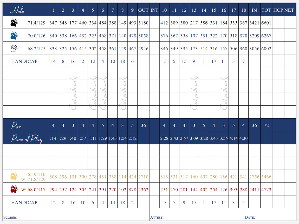 scorecard